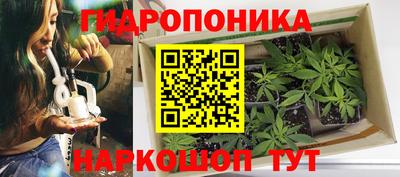 мяу мяу мука Канаш