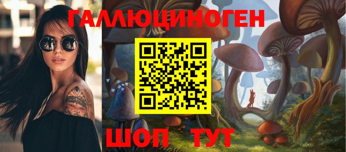 Красноуфимск  Псилоцибиновые грибы Cubensis  Вход с VPN 