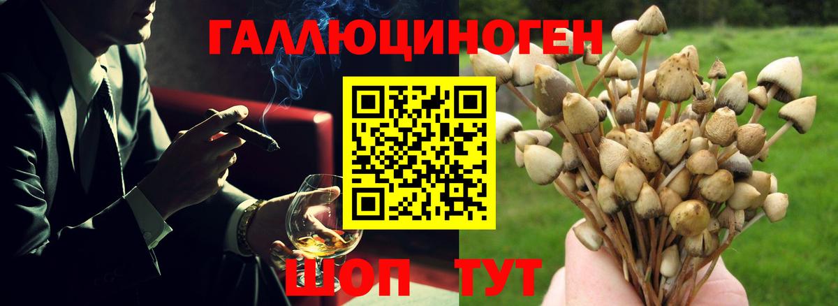 Галлюциногенные грибы Magic Shrooms Красноуфимск